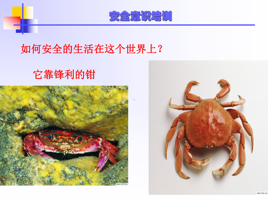 安全意识培训PPT课件.ppt_第3页