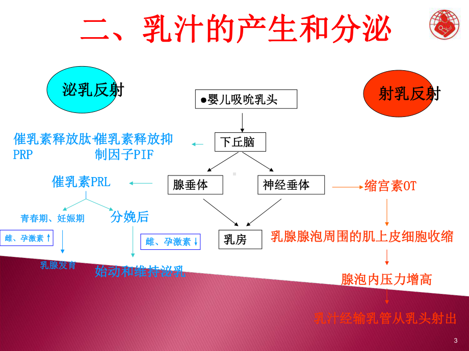 孕妇学校：母乳喂养指导PPT课件.ppt_第3页