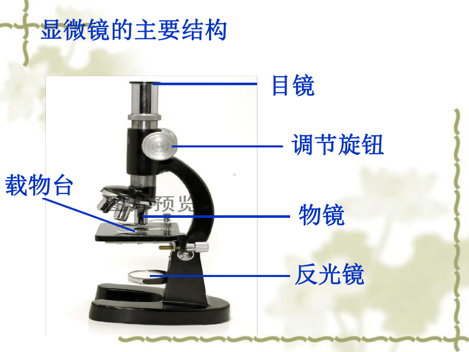 完整版用显微镜观察身边的生命世界二课件.ppt_第3页