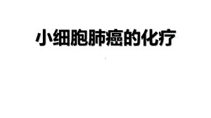 小细胞肺癌的化疗课件.ppt