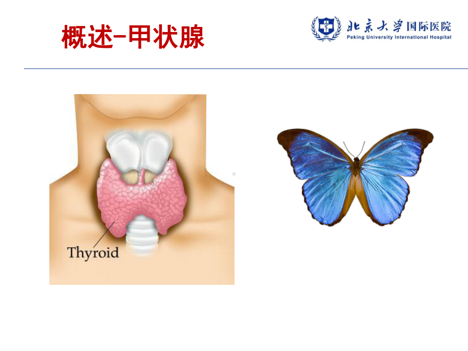 妊娠与甲状腺疾病资料课件.ppt_第3页