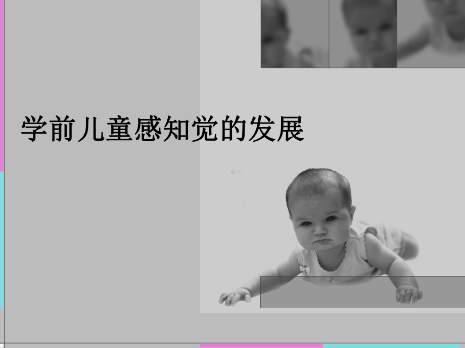 学前儿童感知发展课件.ppt_第1页