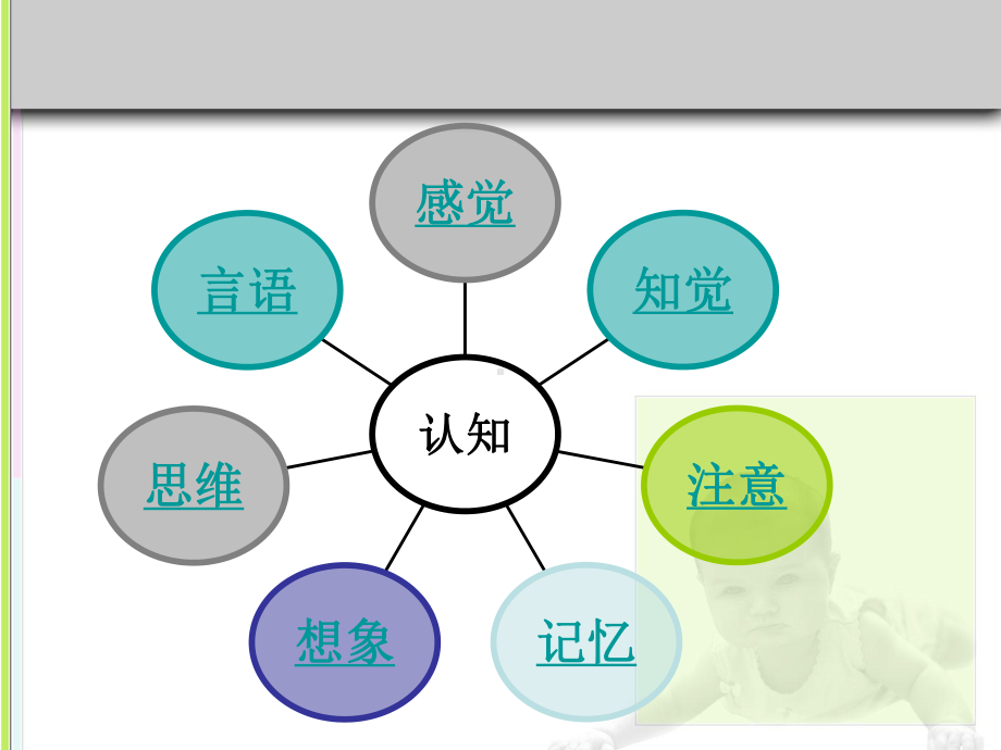 学前儿童感知发展课件.ppt_第2页