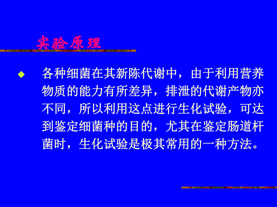 实验五-大肠杆菌与沙门氏菌课件.ppt_第2页