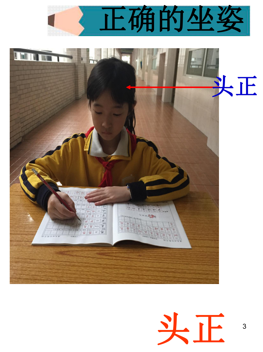 小学生书写双姿学习-PPT课件.ppt_第3页