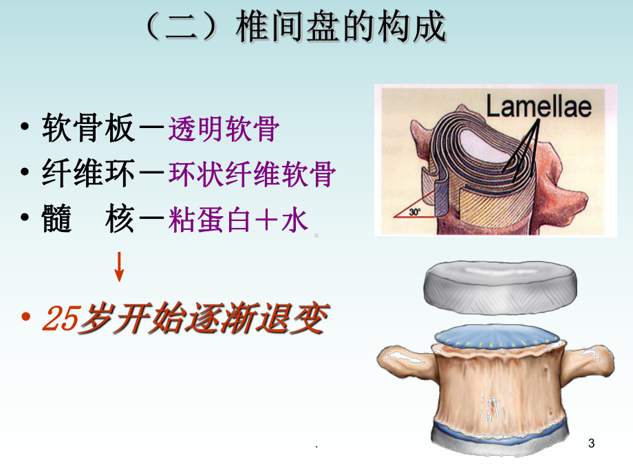 小讲课腰椎间盘突出PPT课件.ppt_第3页