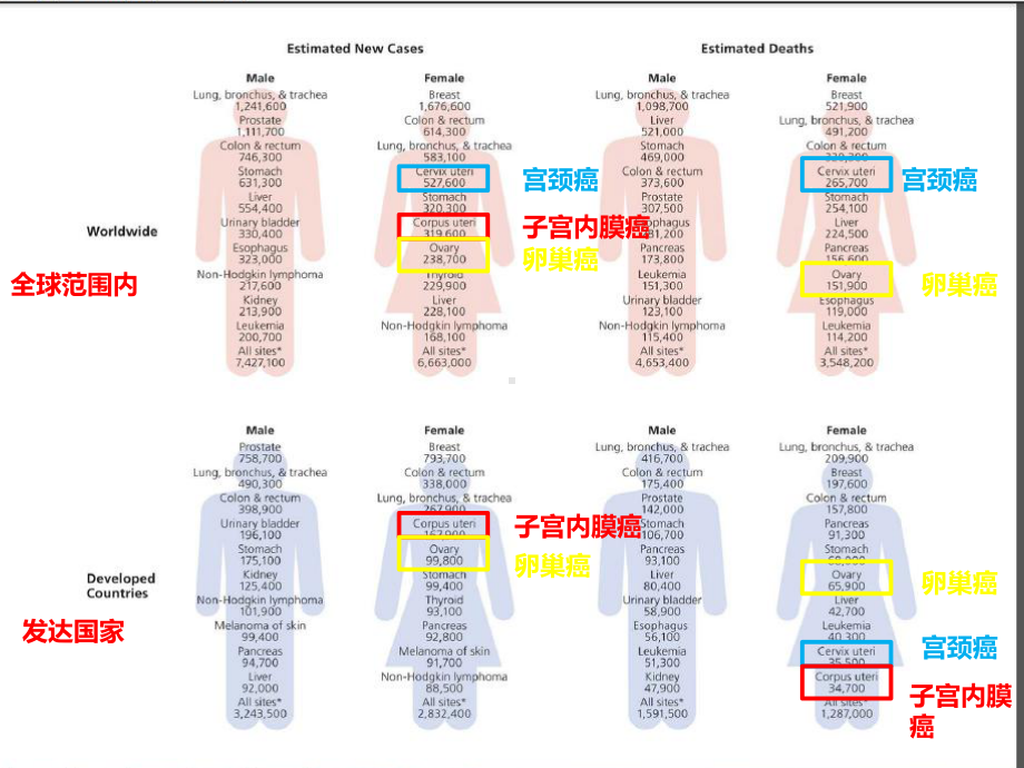 妇科肿瘤筛查及管理课件.pptx_第2页