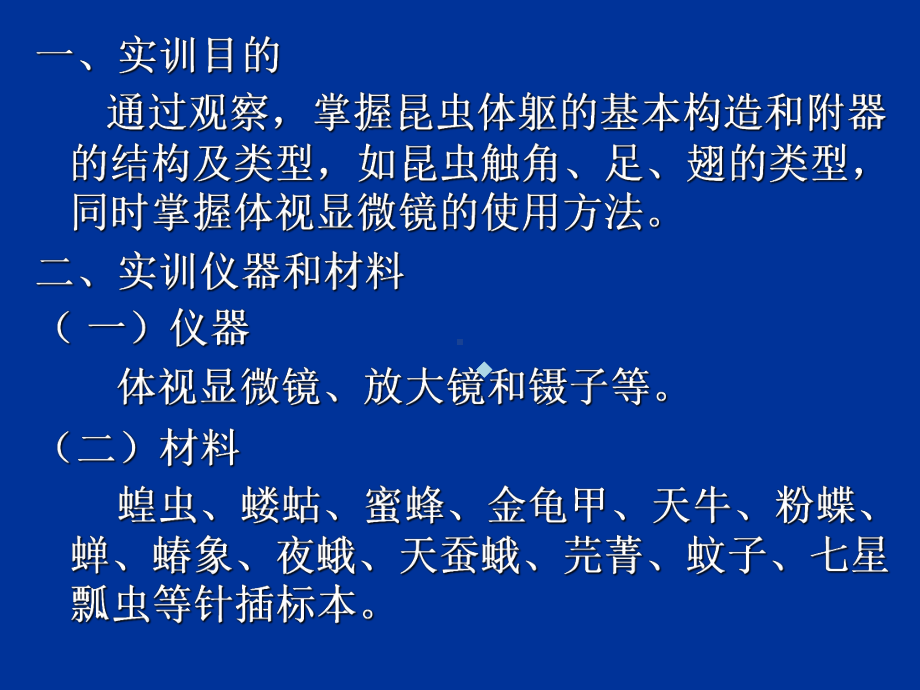 实验一昆虫外部形态观察课件.ppt_第2页