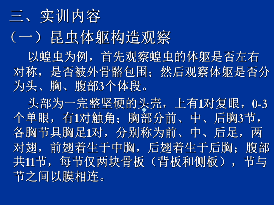 实验一昆虫外部形态观察课件.ppt_第3页