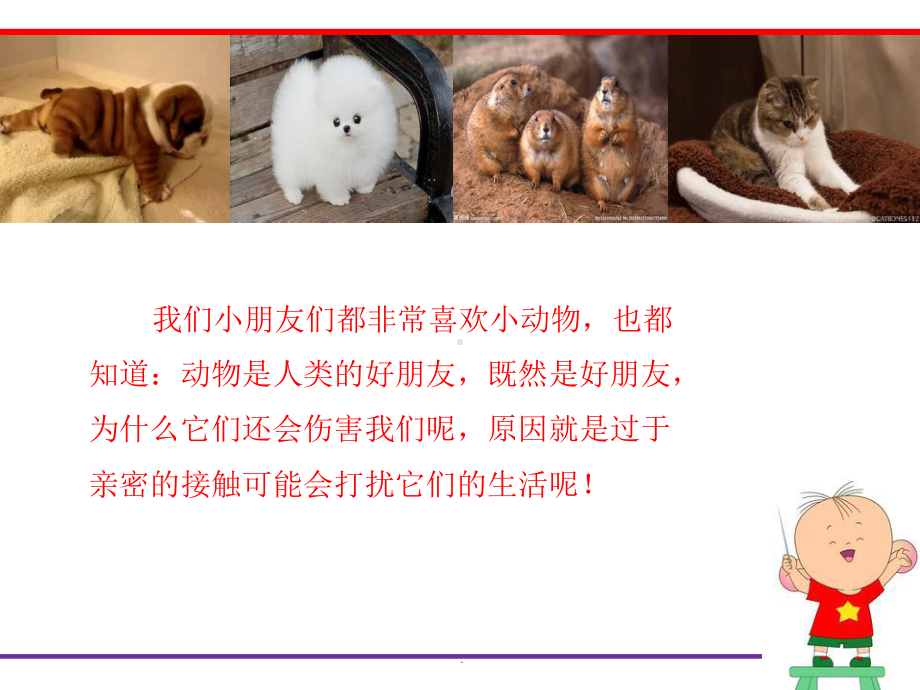 安全：不惹小动物PPT课件.ppt_第2页