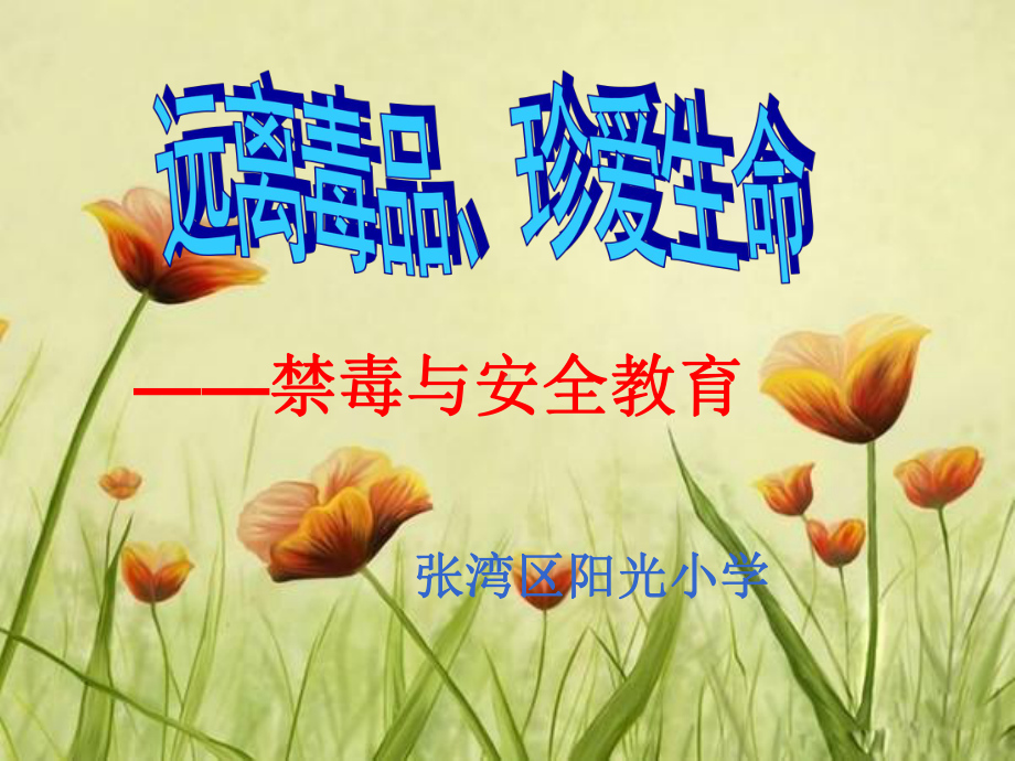 小学禁毒教育主题班会PPT课件.ppt_第1页