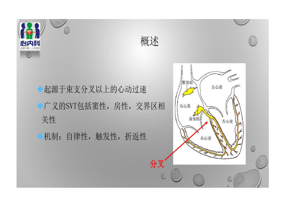 室上性心动过速诊断与治疗共48页课件.ppt_第2页