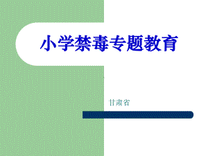 小学一年级禁毒主题班会课件.ppt