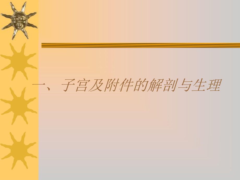 子宫及附件解剖及生理课件.ppt_第1页