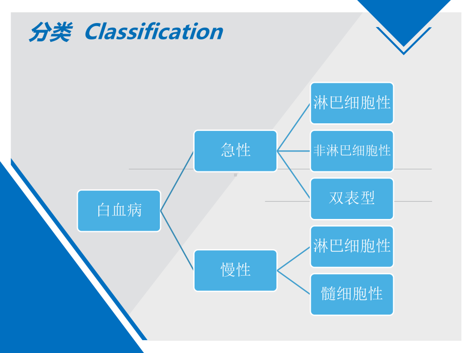 白血病的分类与诊断-ppt课件.ppt_第3页