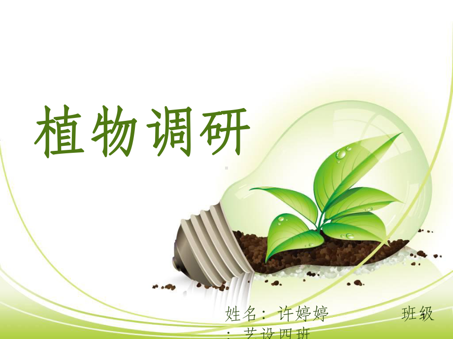 植物调研ppt课件.ppt（17页）_第1页