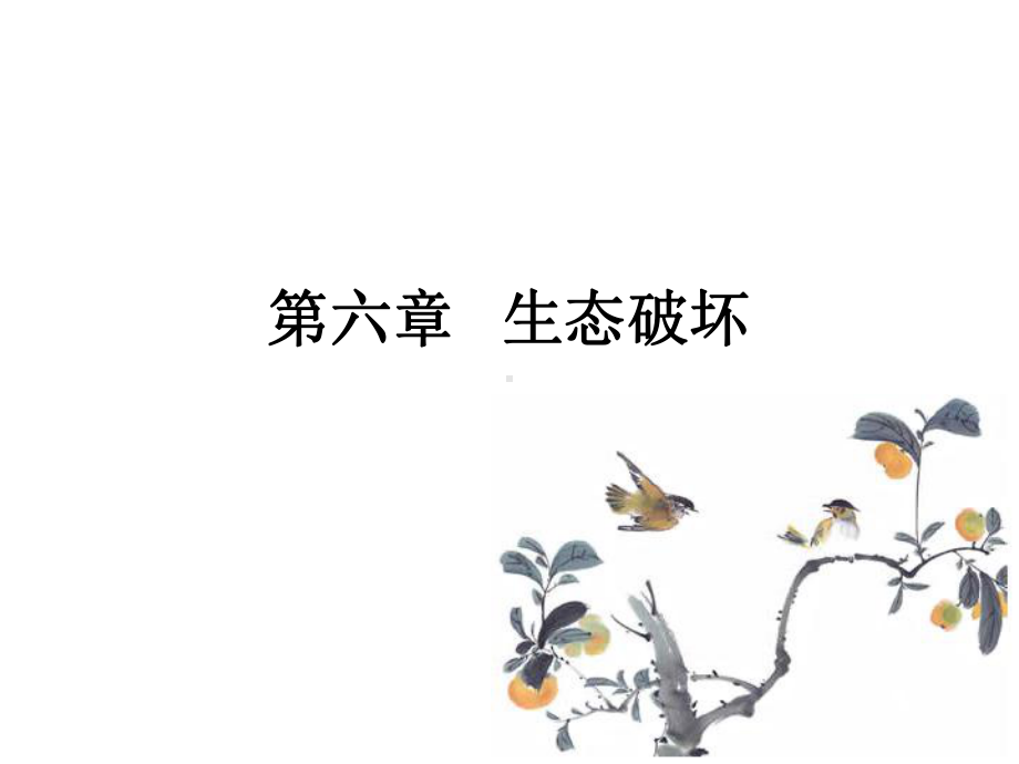 生态破坏-ppt课件.ppt_第1页