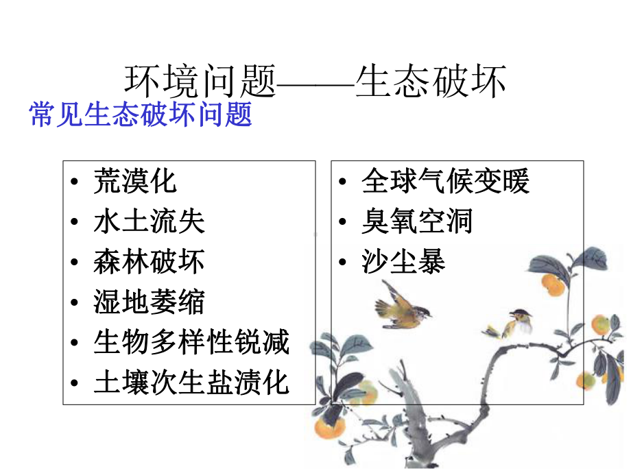 生态破坏-ppt课件.ppt_第3页