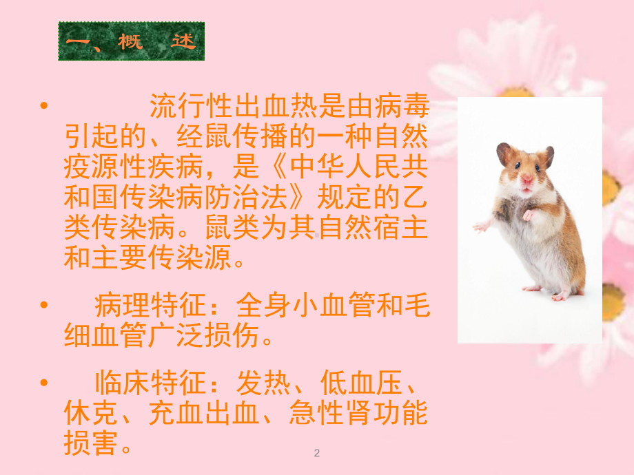 流行性出血热PPT课件.ppt（66页）_第2页