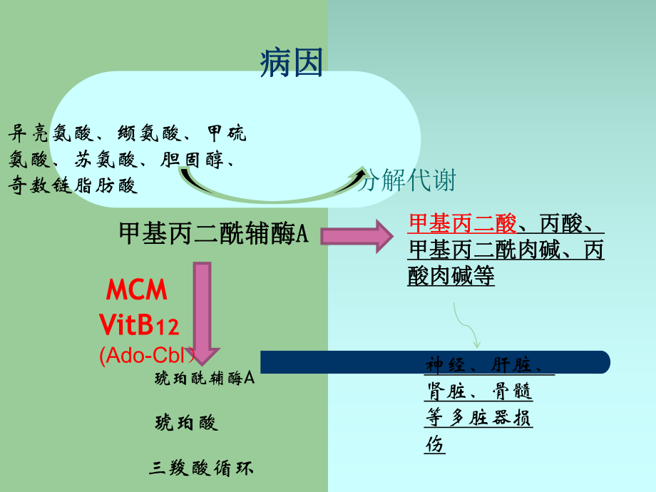 甲基丙二酸血症诊断与治疗课件.ppt_第3页