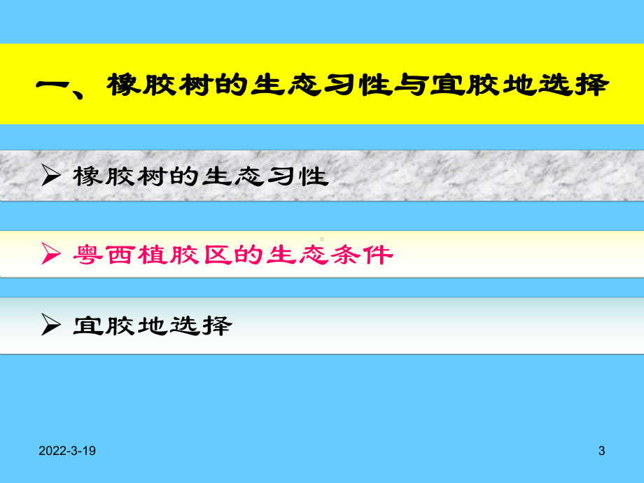 橡胶树种植及材料培育精品PPT课件.ppt（83页）_第3页