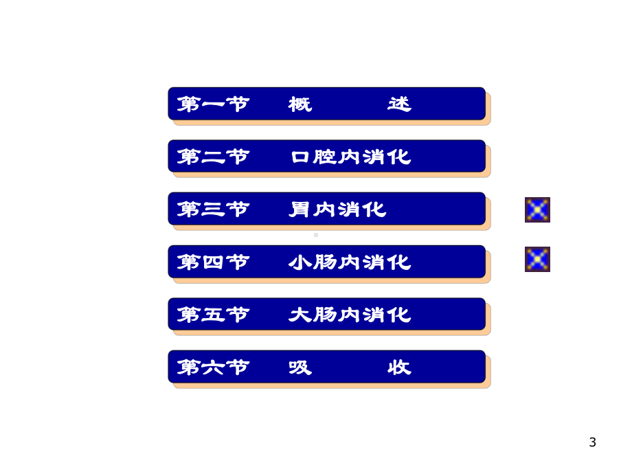 生理学消化与吸收-ppt课件.ppt_第3页