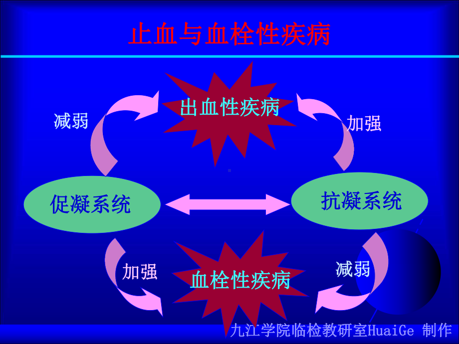 止血与血栓课件.ppt（74页）_第3页