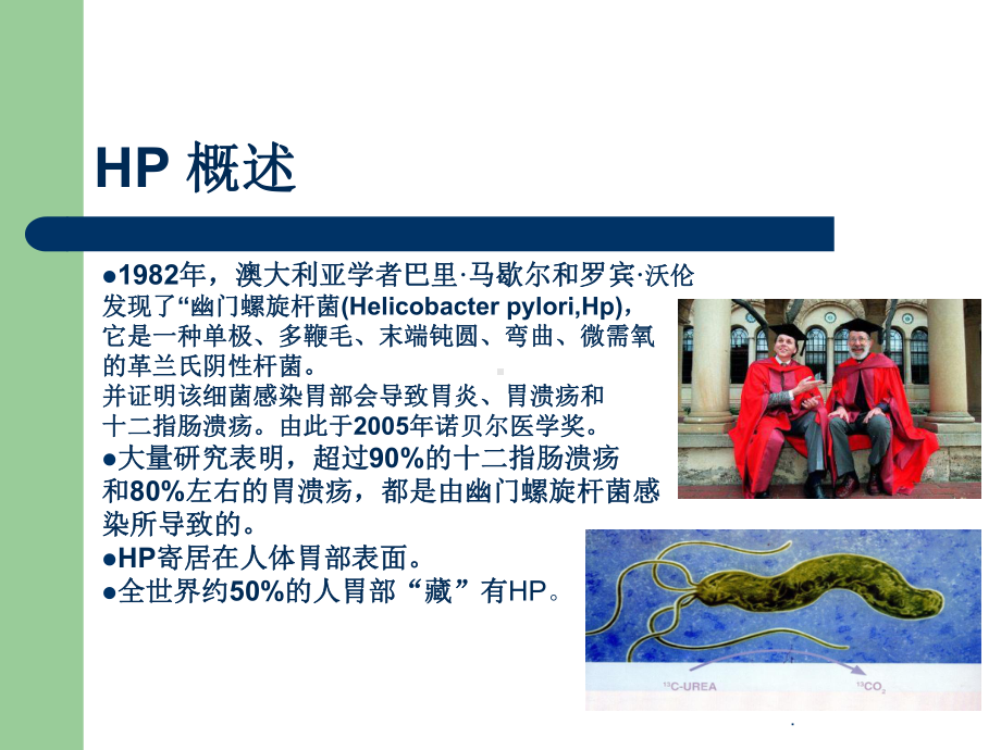 浅谈“幽门螺旋杆菌”课件.ppt_第3页