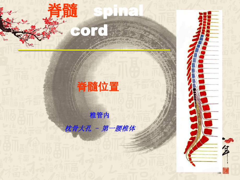 椎管肿瘤的影像诊断-ppt课件.ppt（52页）_第2页