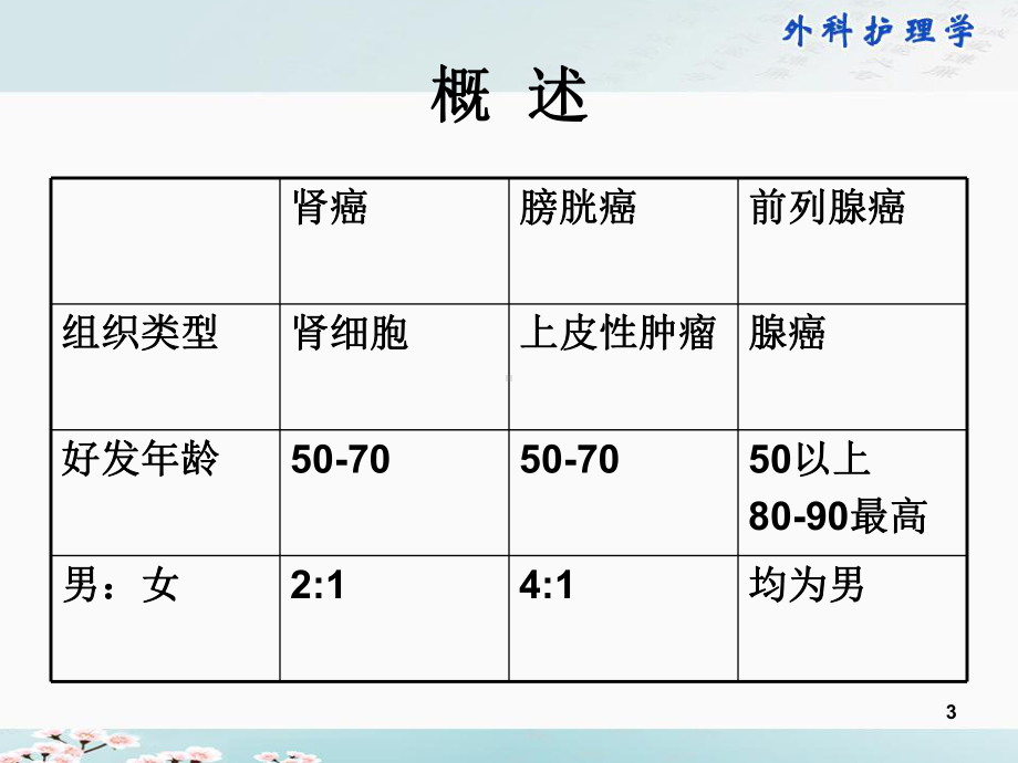 泌尿男性生殖系统肿瘤病人的护理PPT课件.ppt（52页）_第3页