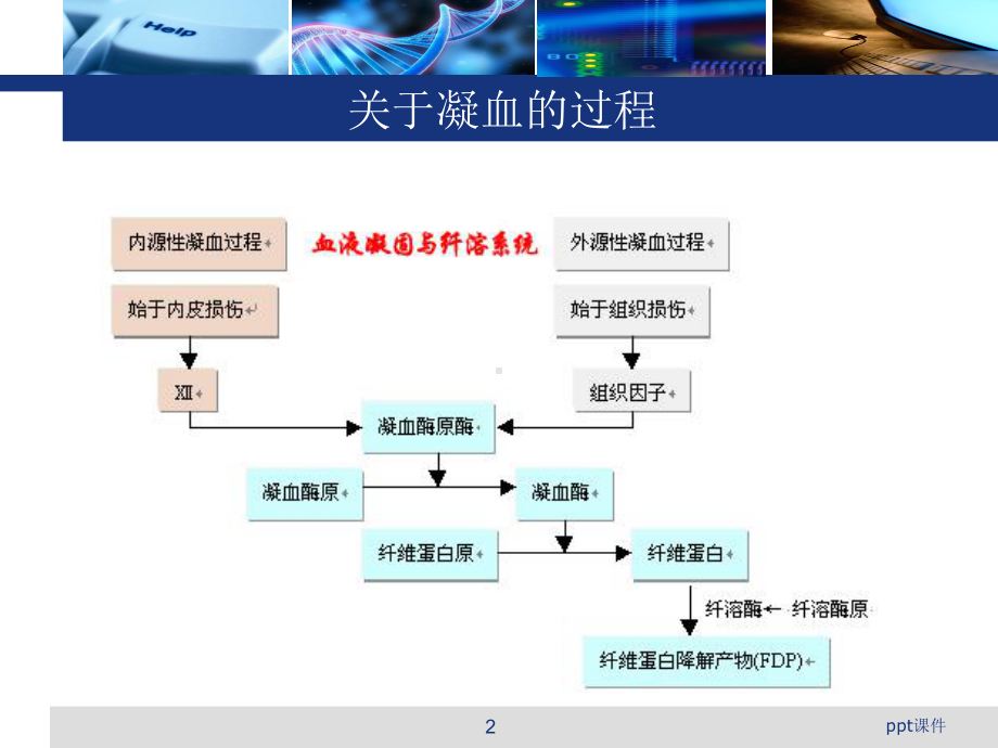 氨甲环酸在骨科中的应用情况-ppt课件.ppt（19页）_第2页