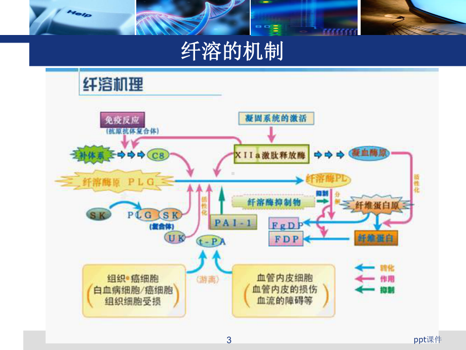 氨甲环酸在骨科中的应用情况-ppt课件.ppt（19页）_第3页