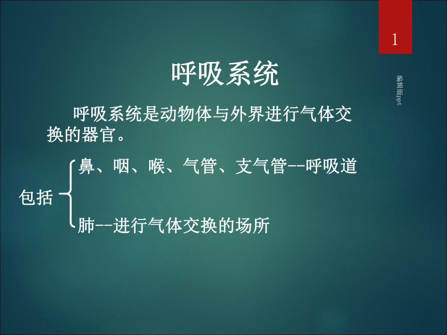 畜禽解剖学呼吸系统PPT课件.ppt_第1页