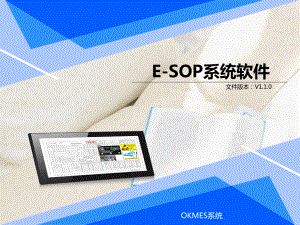 标准E-SOP电子作业指导书系统课件.ppt（59页）