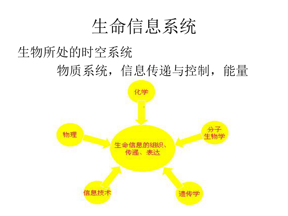 生物信息学的研究内容、方法及意义课件.ppt_第3页