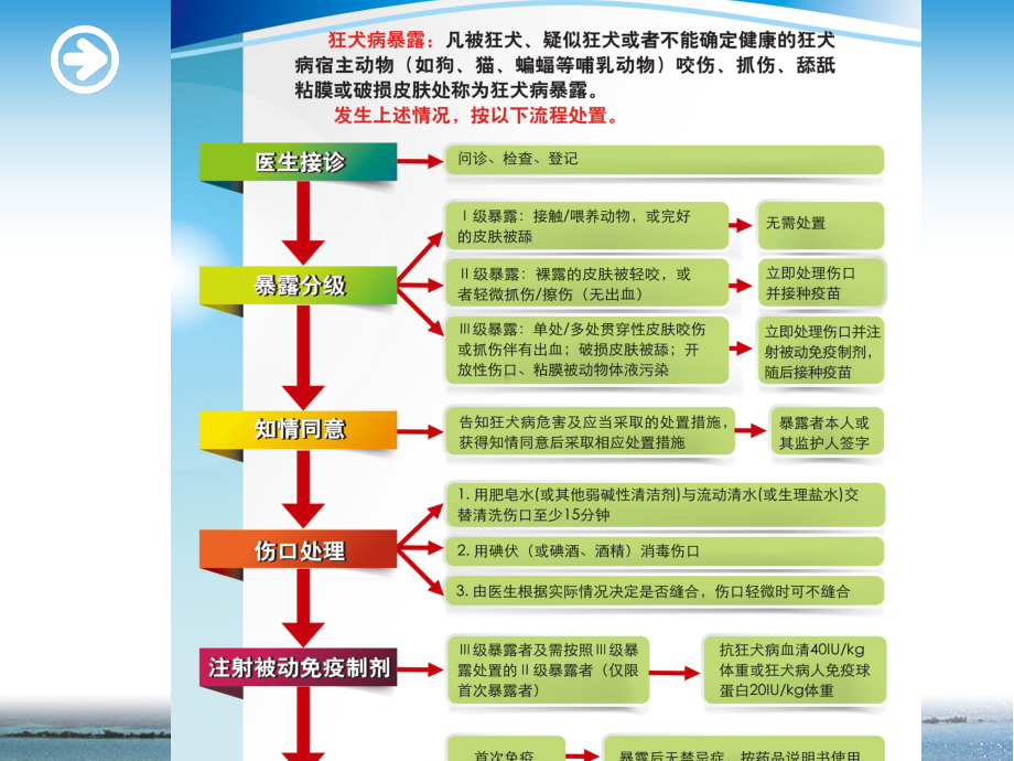 狂犬病暴露后预防处置工作规范(1)课件.ppt（52页）_第3页