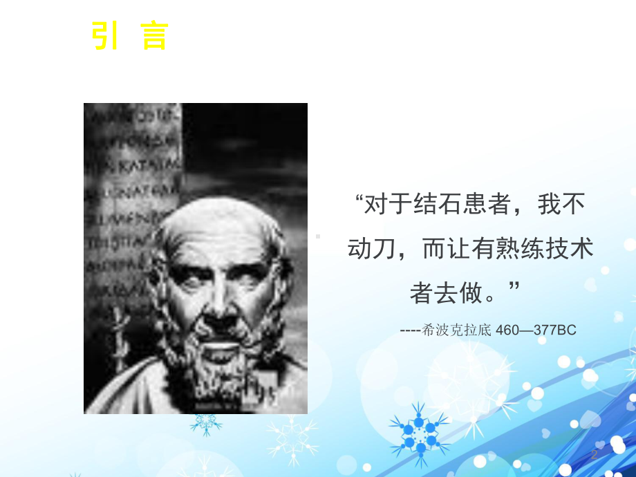 泌尿系结石的诊断及治疗（泌尿外科）-ppt课件.ppt（52页）_第2页