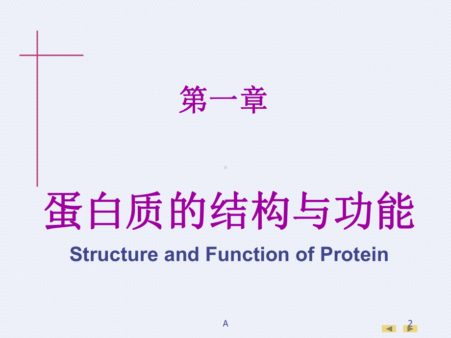 生物化学与分子生物学(人卫版)教材课件全集.ppt_第2页