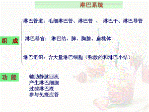 淋巴系统-ppt课件.ppt（28页）