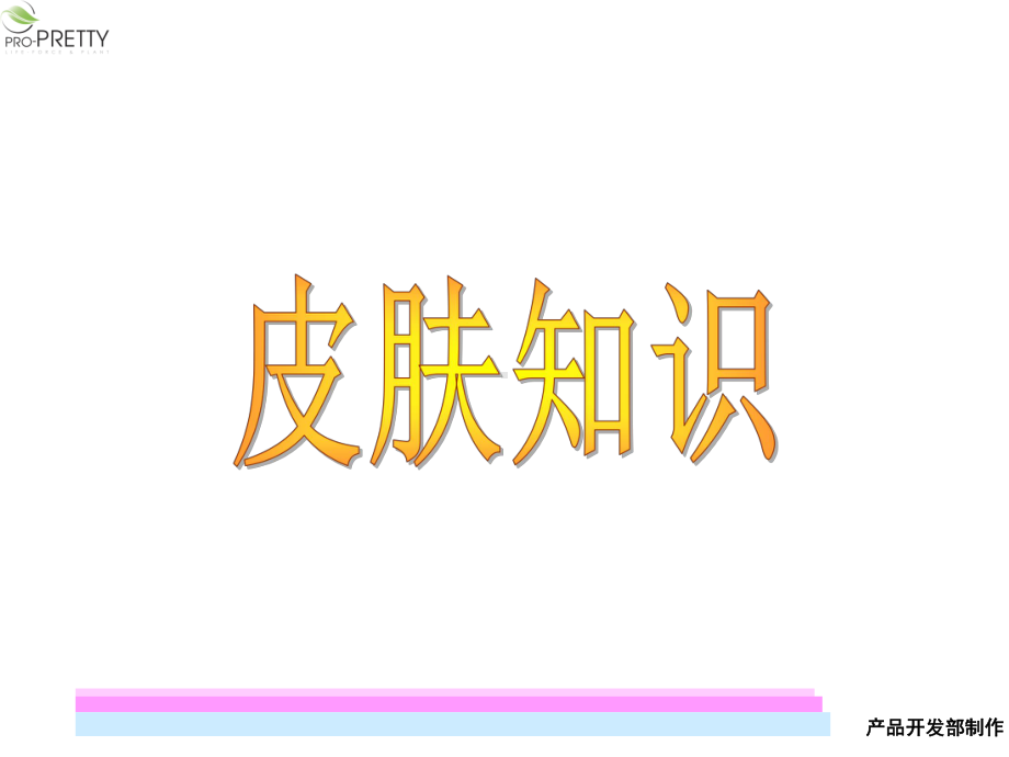 皮肤知识大全课件.ppt_第1页