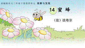 部编版小学三年级语文下册14《蜜蜂》PPT课件（定稿）.pptx