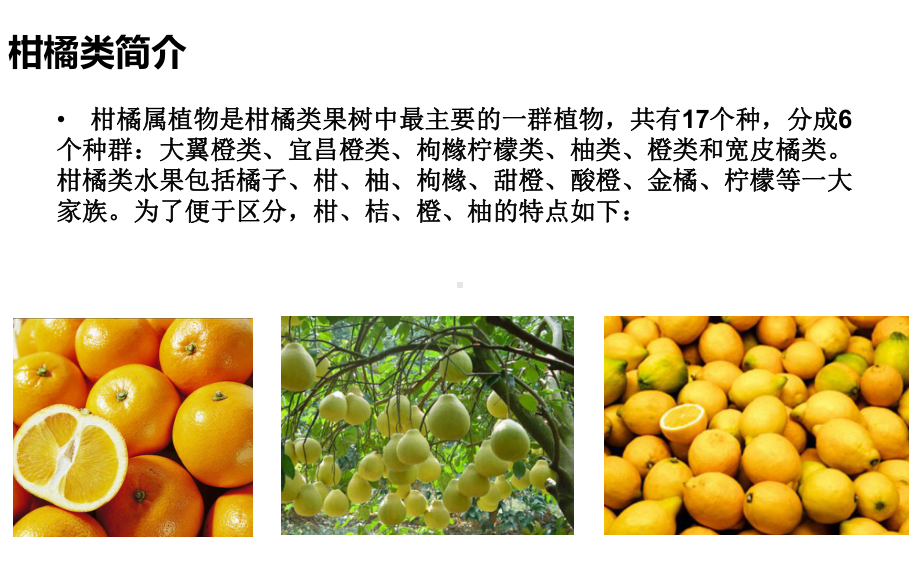 柑橘分类ppt课件.ppt（51页）_第3页