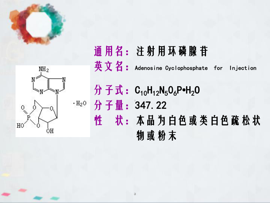 环磷腺苷产品知识培训课件.ppt（23页）_第2页