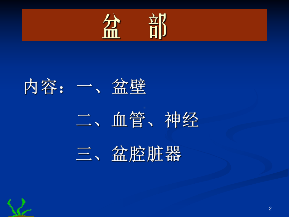 盆部PPT课件.ppt_第2页