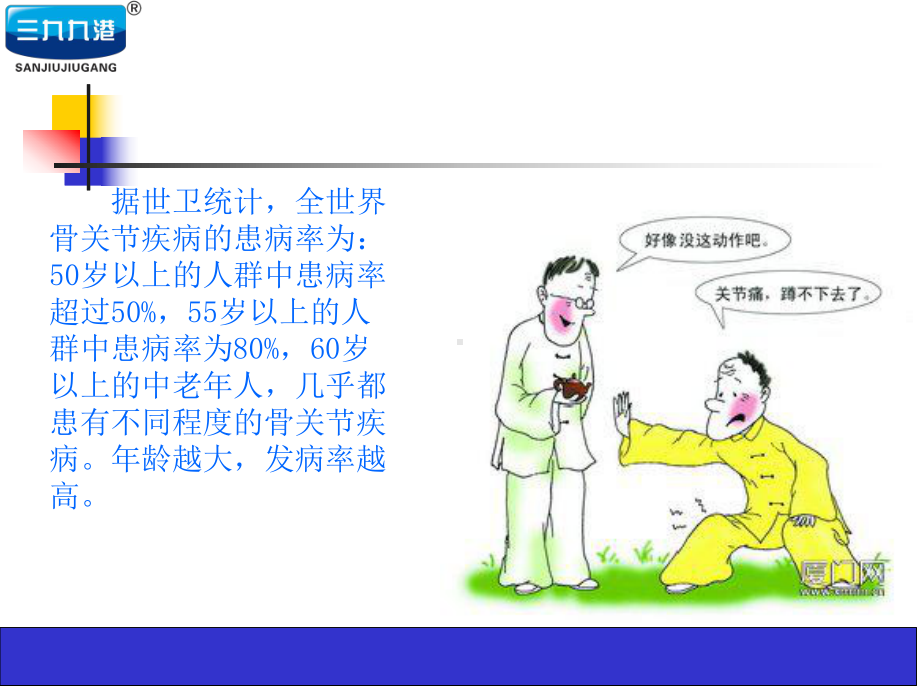 氨基葡萄糖硫酸软骨素钙ppt课件.ppt（25页）_第3页