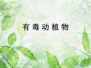 有毒动植物PPT课件.ppt（19页）