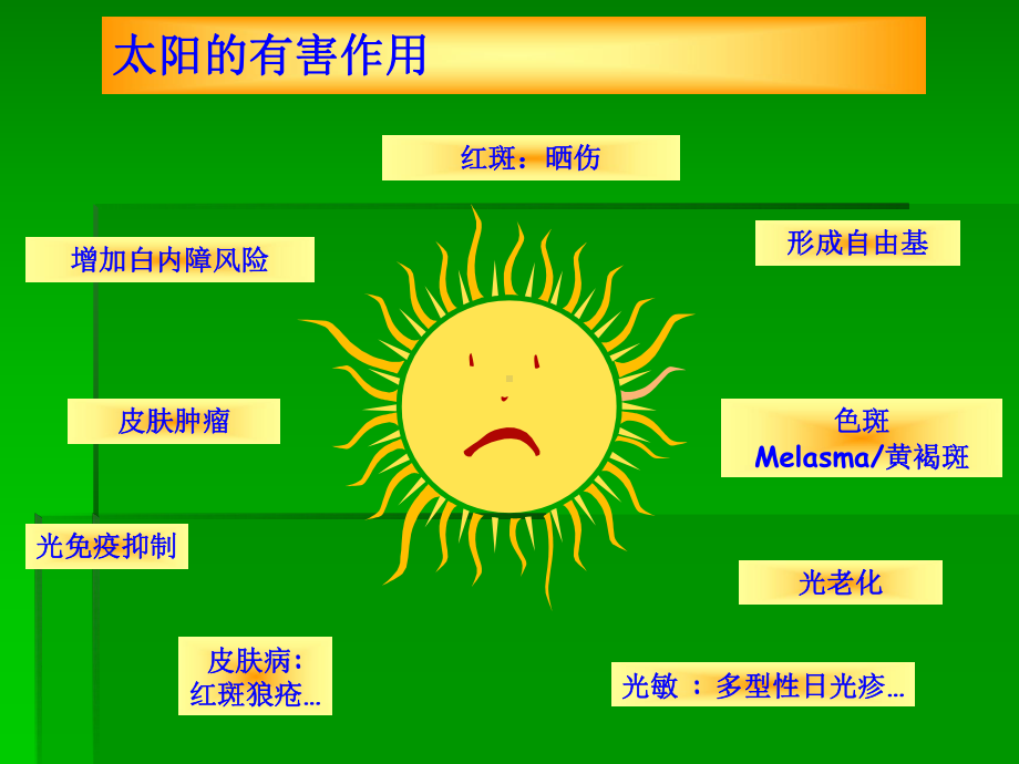 皮肤光老化课件.ppt_第3页