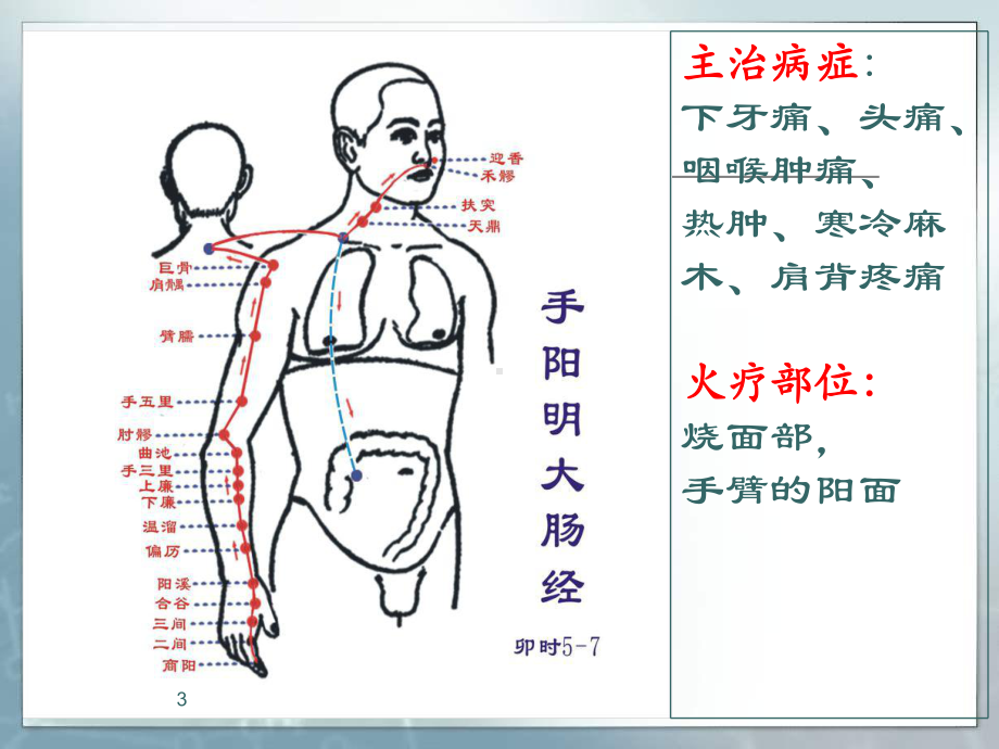 火疗PPT课件.ppt（71页）_第3页