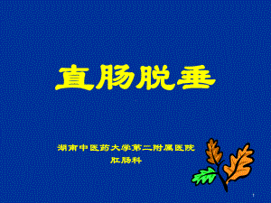 直肠脱垂PPT课件.ppt