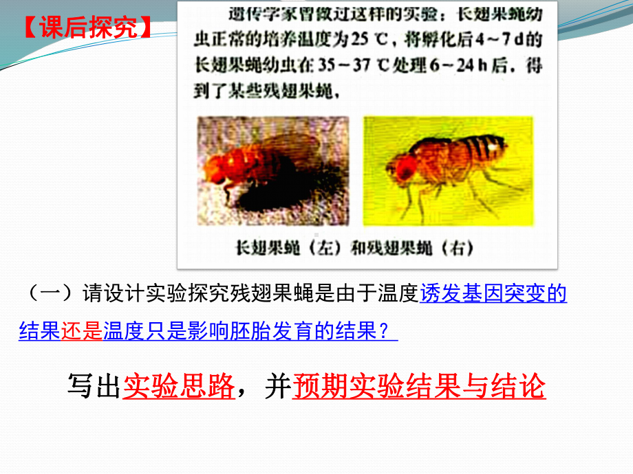 生物变异之基因突变一轮复习公开PPT课件.ppt_第3页